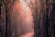 开云体育下载-恩菲尔德战术调整显效，力争世俱杯更好名次