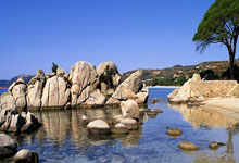 开云体育app-马赛取胜,信心满满迎接下轮挑战