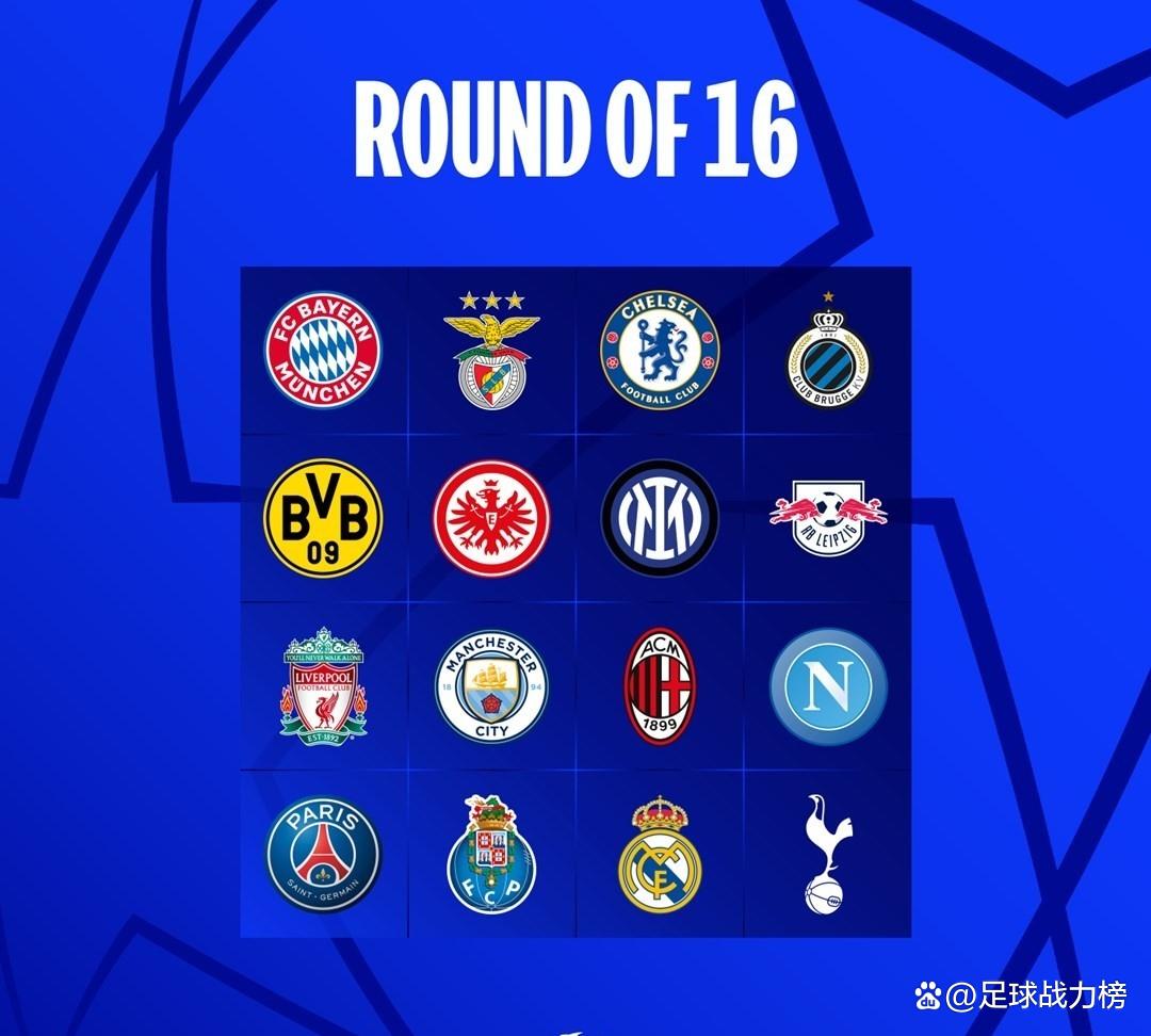 开云下载-摩纳哥主场获胜，欧冠资格渐行渐近