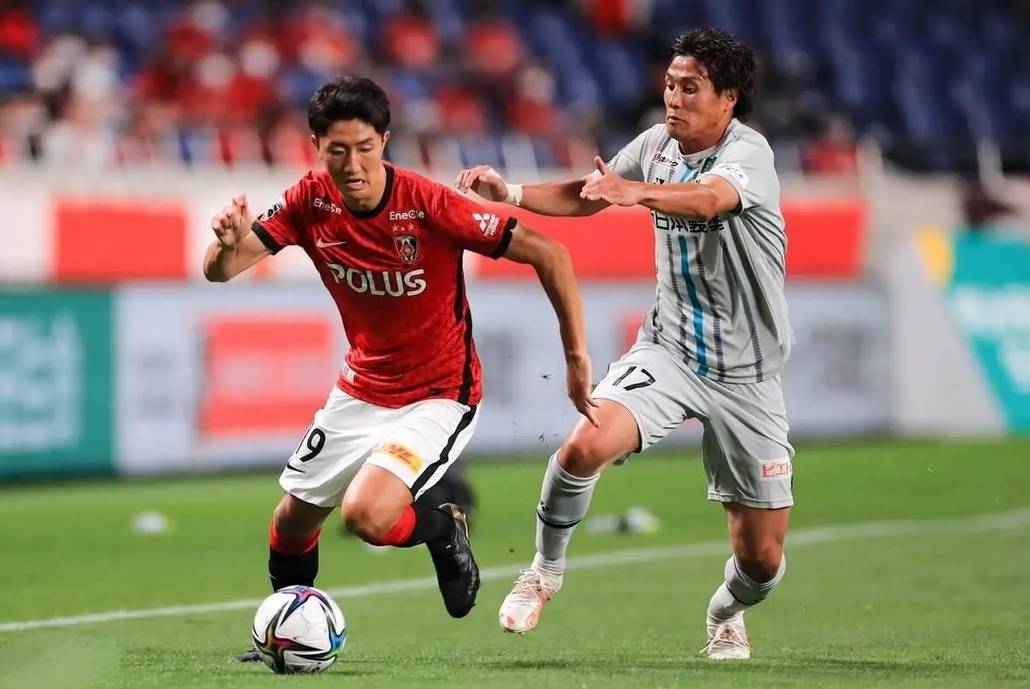 包含南安普顿告负狼队，遭遇主场两连败的词条