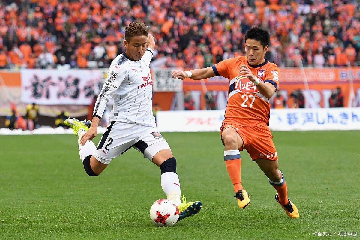 大阪樱花受挫,备战下一场较量的简单介绍 大阪樱花受挫,备战下一场较量的简单介绍