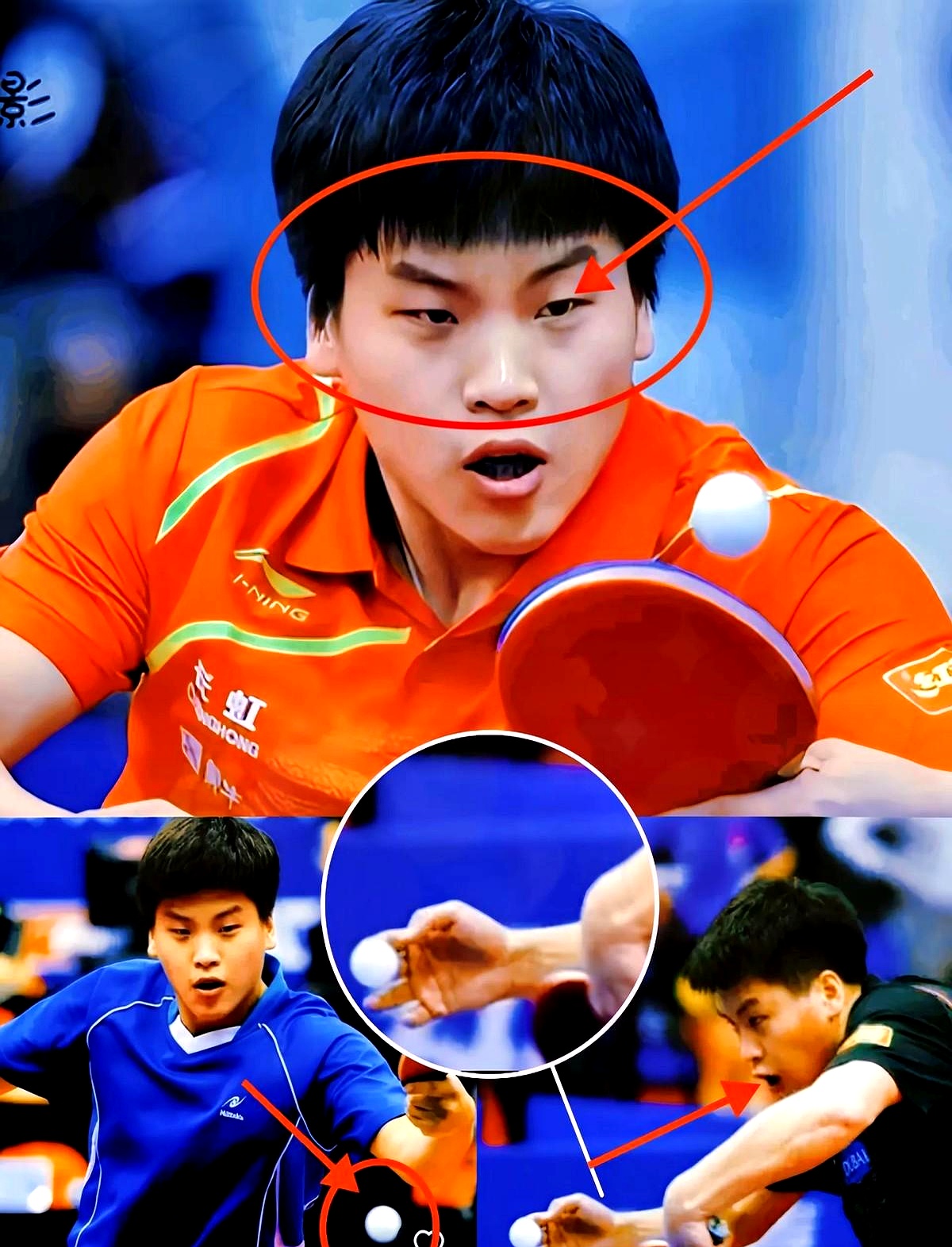 开云APP-关于比利时乒乓球队碾压波兰乒乓球队，张继科关键制胜的信息
