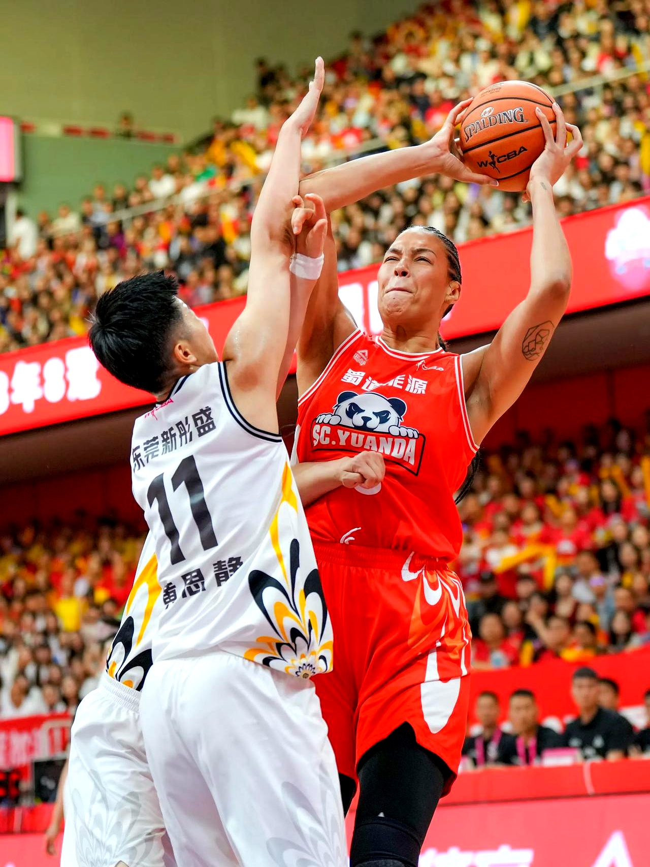 四川队力克鹈鹕,塔图姆点燃赛场 四川队力克鹈鹕,塔图姆点燃赛场