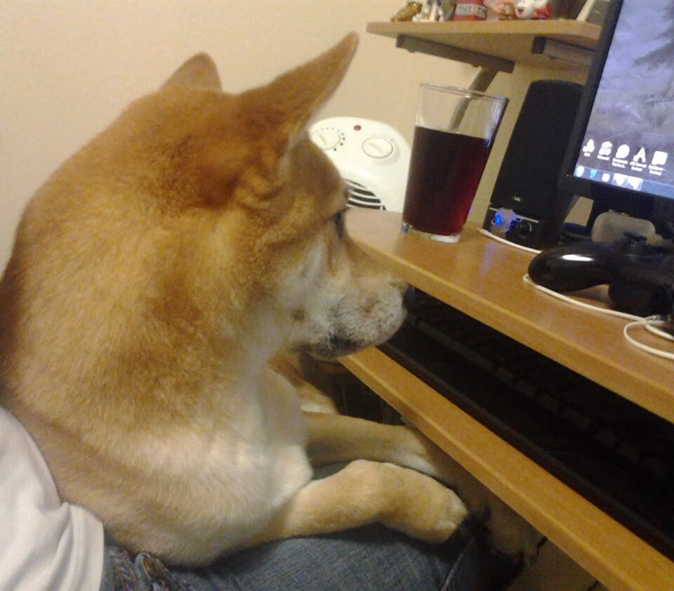 航船破冰狼群封锁!新船长马克西率快船终结连败宿命