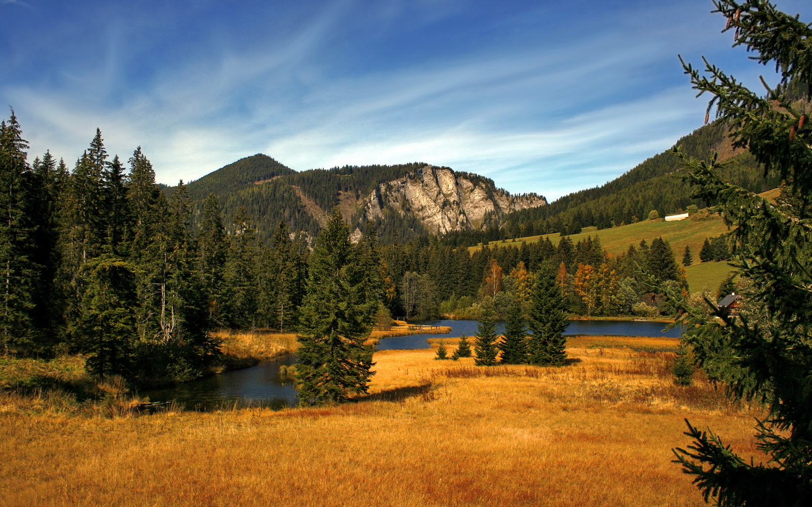 开云体育下载-马刺锁链绞杀奇才，新星切特攻防一体化身关键先生