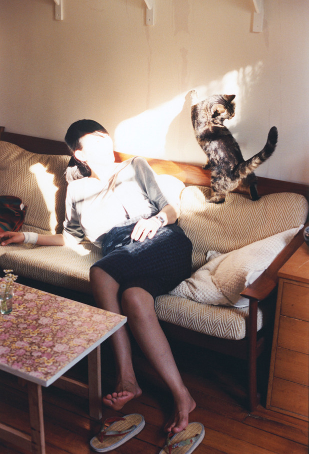 开云下载-竞技之巅，德甲争冠焦点战与开拓者淘汰辽宁队的启示