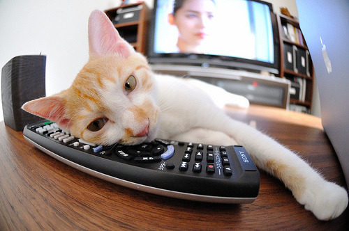 球探战争,美加墨世界杯上,多特蒙德如何收割喀麦隆足球的明天