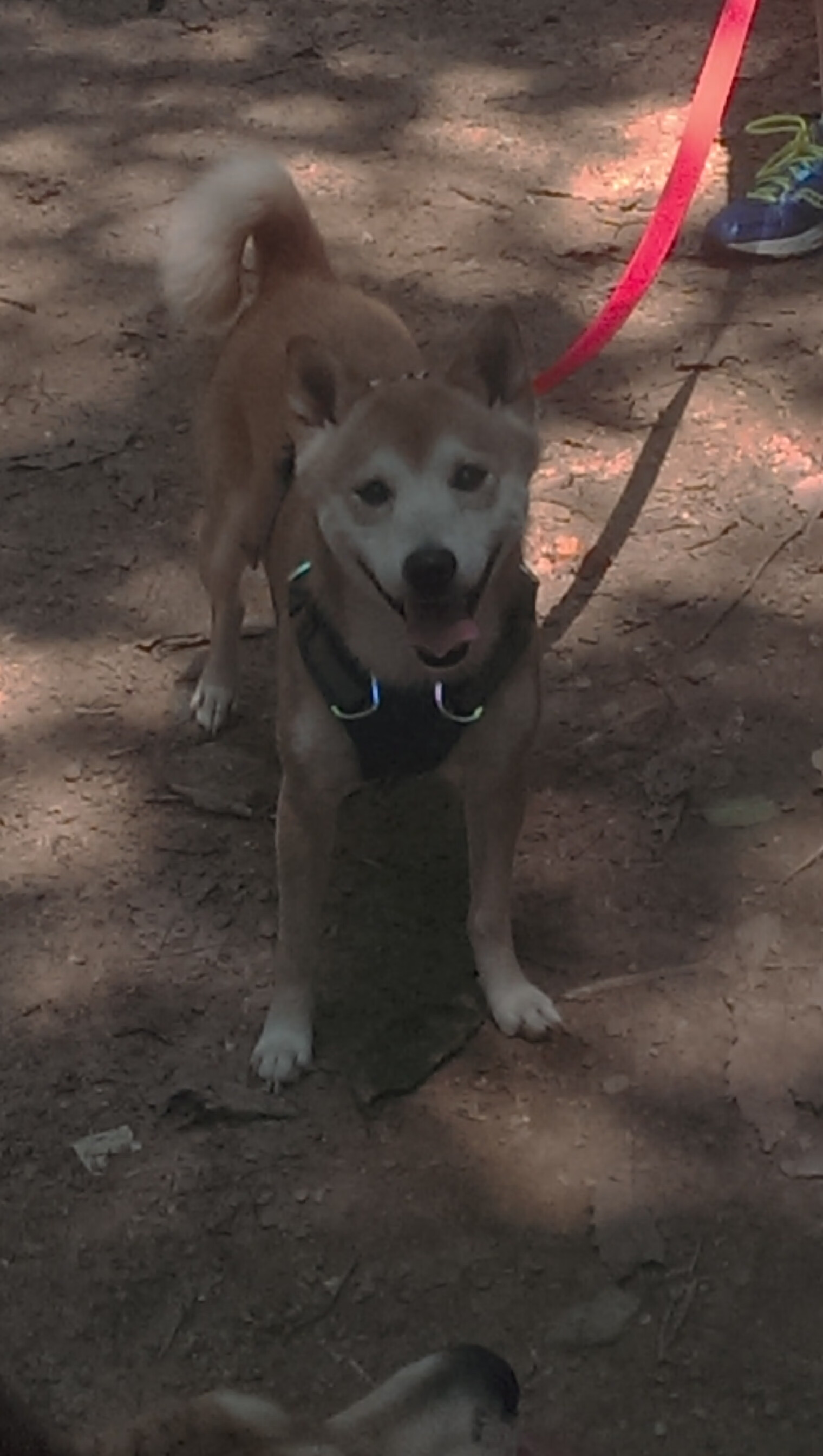 开云体育官方网站-狂野西部与倔强东部，当保罗刺破宿命，尼克斯重铸铁血