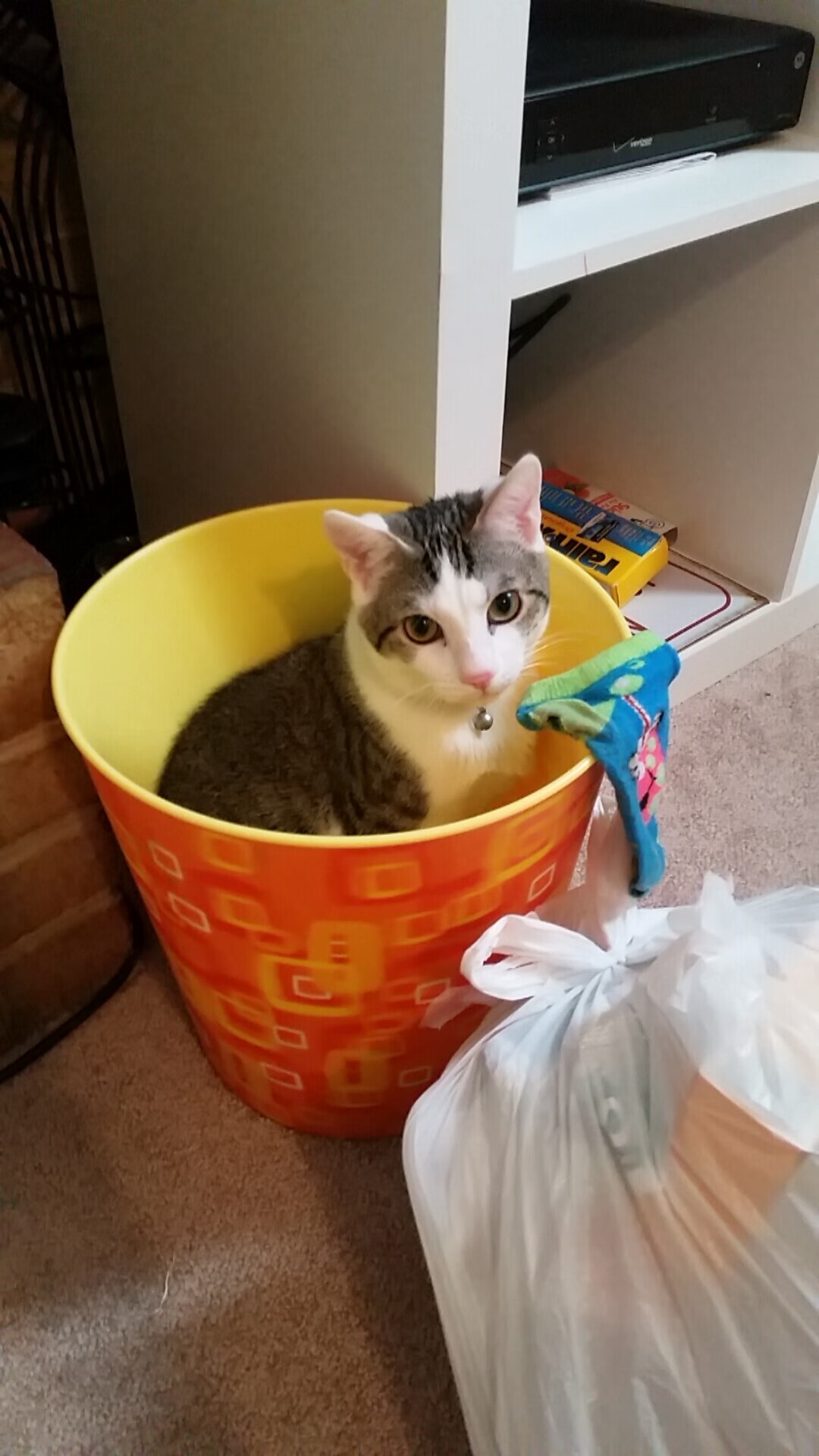 狂野西部与倔强东部,当保罗刺破宿命,尼克斯重铸铁血