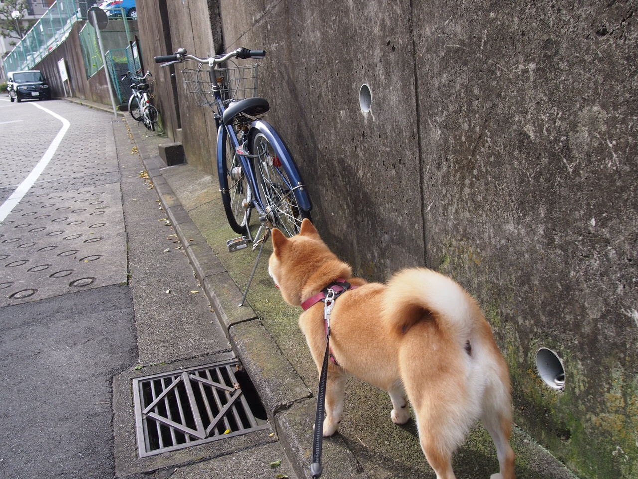 坎特时刻，中国对阵卡塔尔的命运，在他一人脚下流转