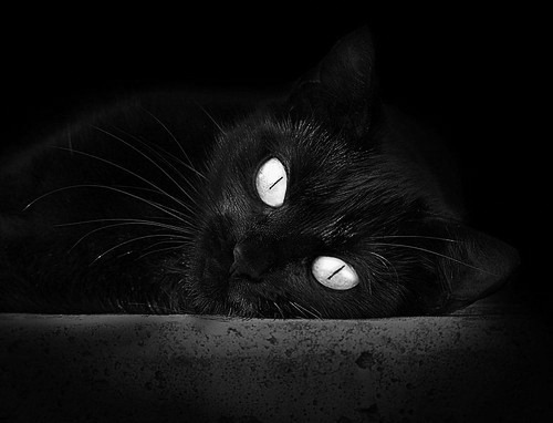 跨界巅峰对决,凯尔特人在NBA总决赛焦点战中轻取吉林队