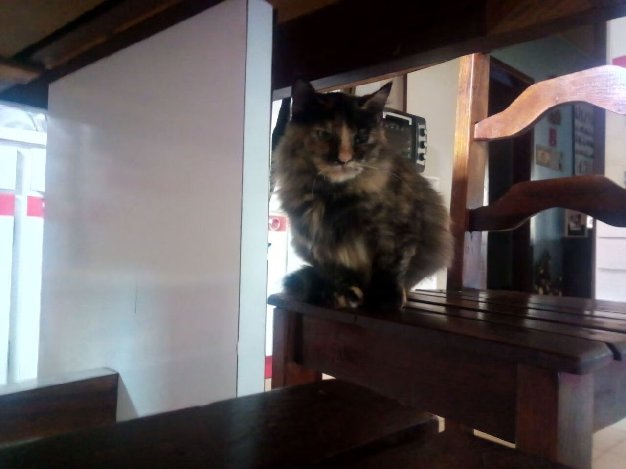 内马尔，巴黎之弦上的勒沃库森挽歌