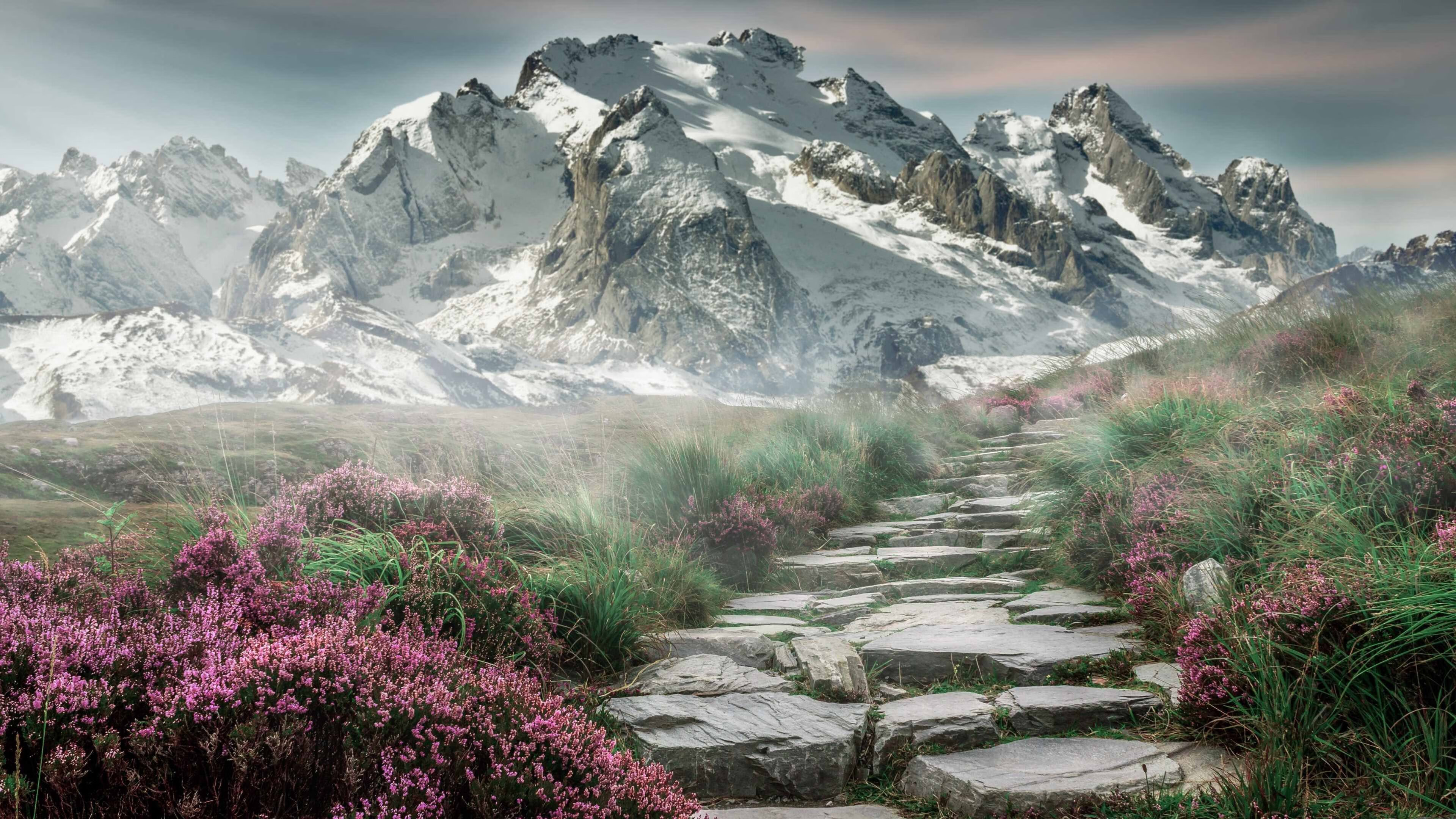 骑士笑傲布鲁克林,浓眉成破局关键先生