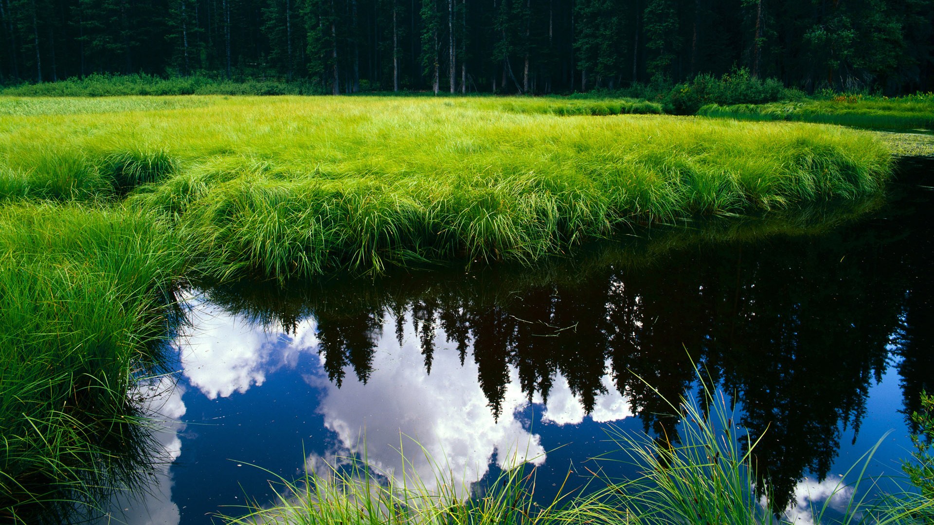 北京队完胜尼克斯，戈贝尔如何成为扭转乾坤的关键先生？