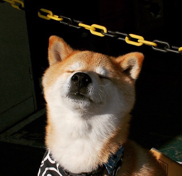 被低估的孤星,英格拉姆如何用一场季后赛高光完成自我正名