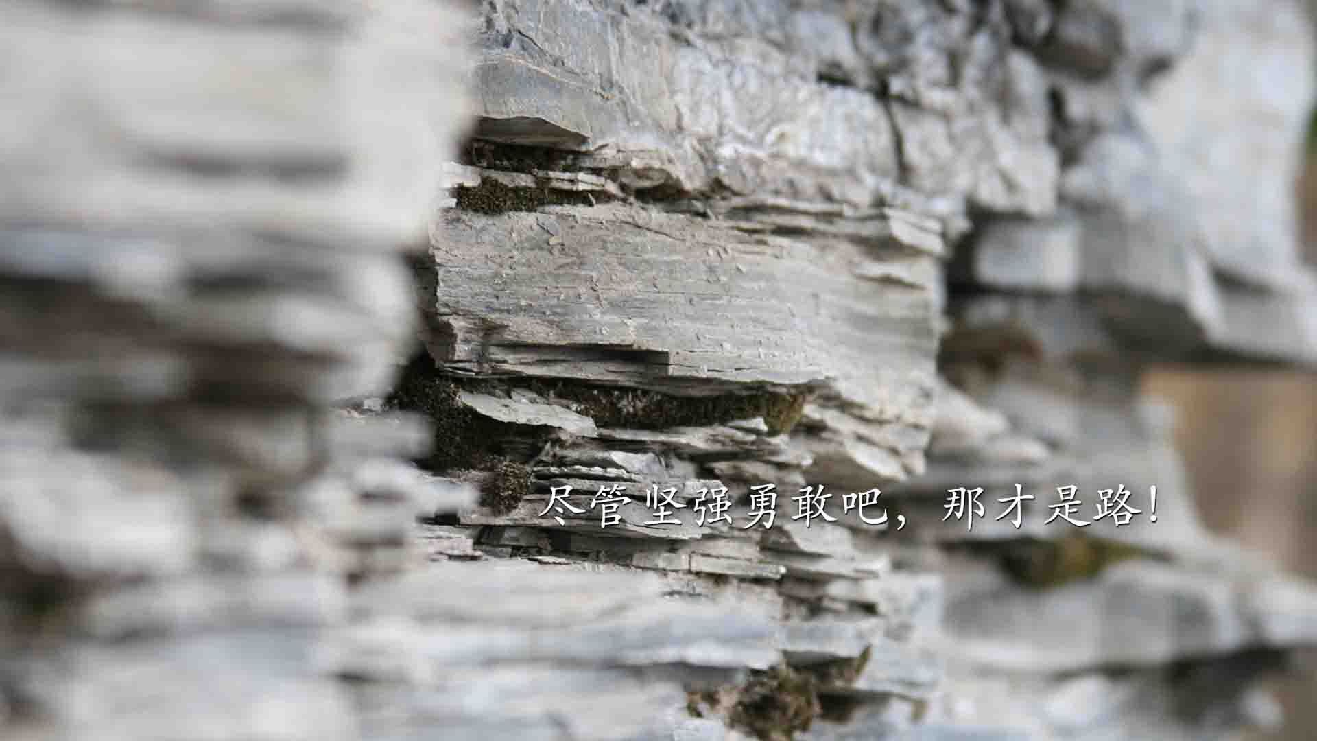 绿茵场与赛道，生死战的永恒命题